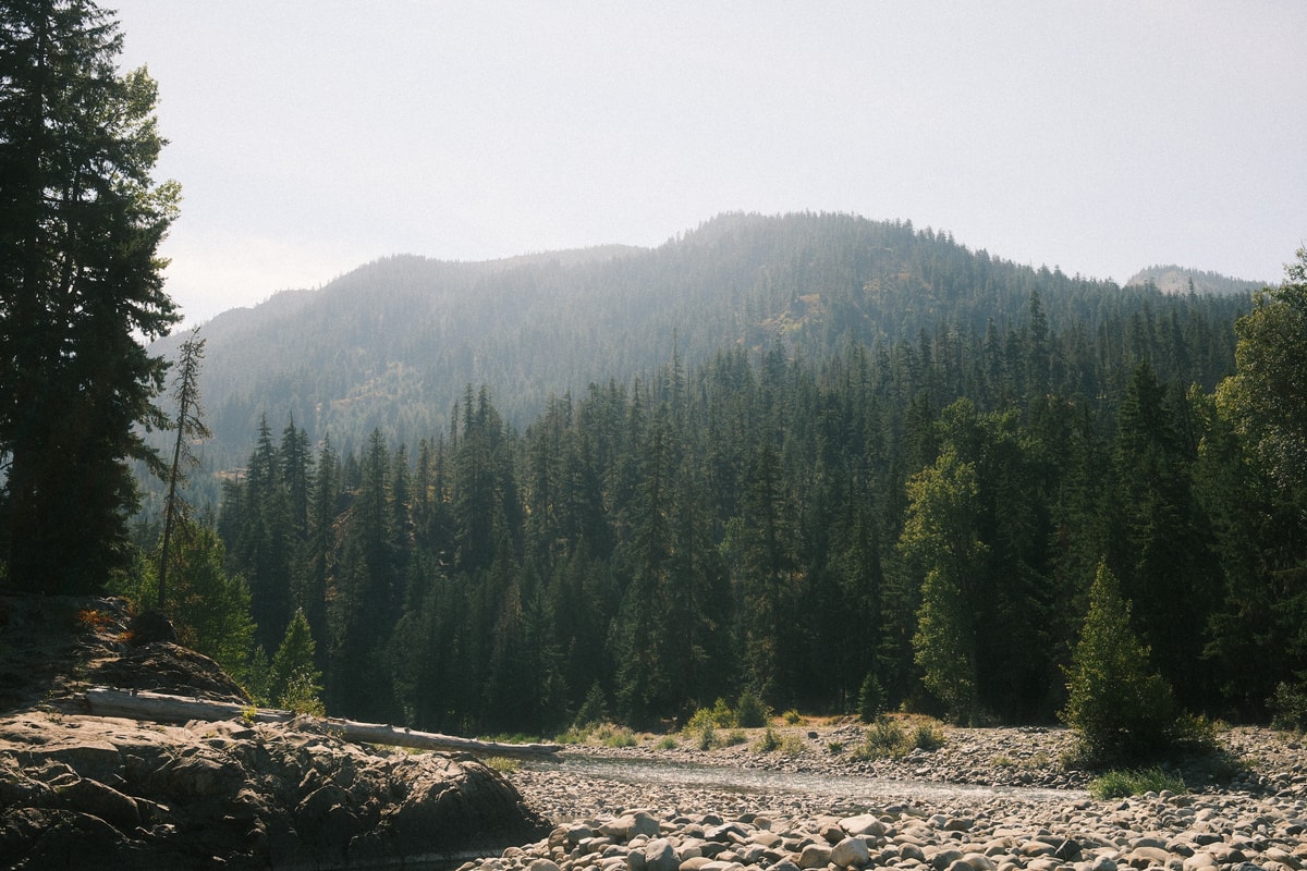 Seattle 1772957021546 Dscf0656